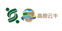 高原云牛 高原云牛